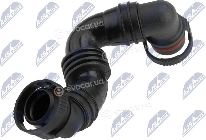 NTY GPP-VW-036