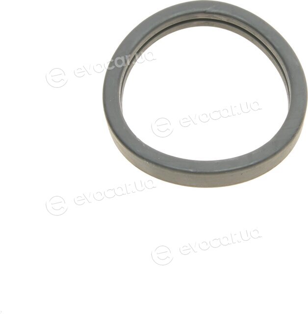 Elring 389.050