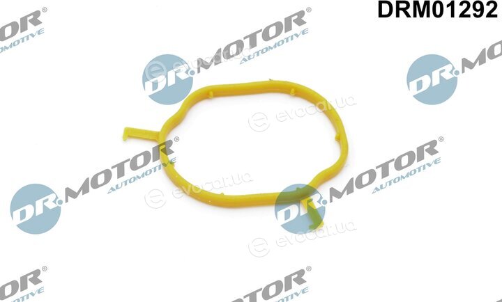 Dr. Motor DRM01292
