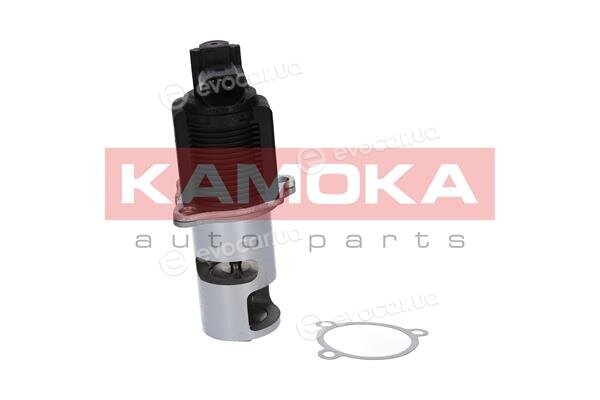 Kamoka 19015
