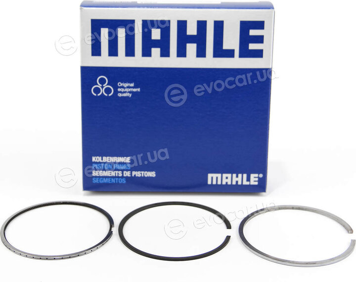 Mahle 010 04 N1