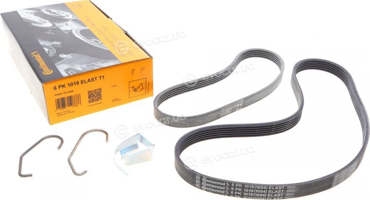 Continental 6PK1019 ELAST T1