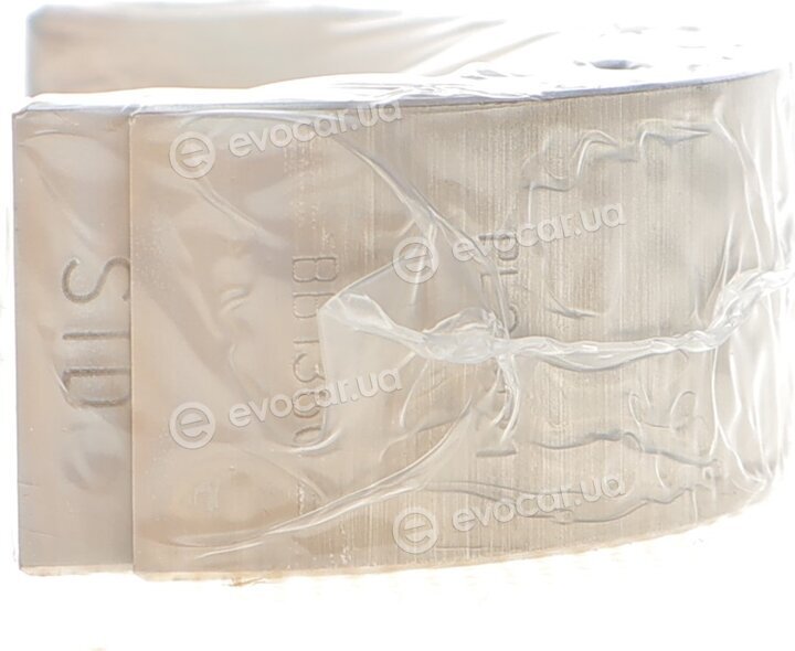 Mahle 029 PL 21921 000