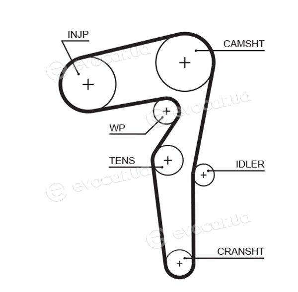 Gates K015646XS