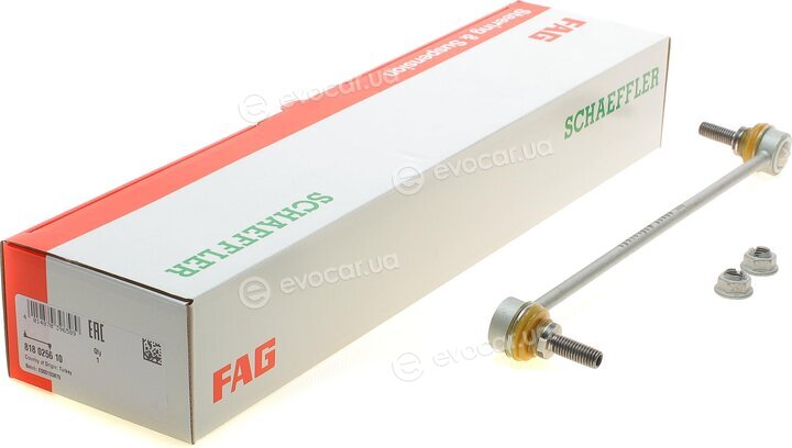 FAG 818 0256 10