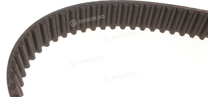 Gates K025453XS