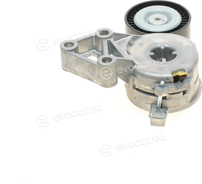 Continental 6DPK1195K1