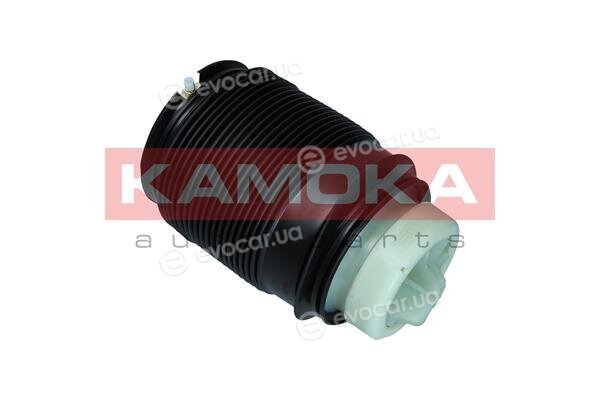 Kamoka 2079042
