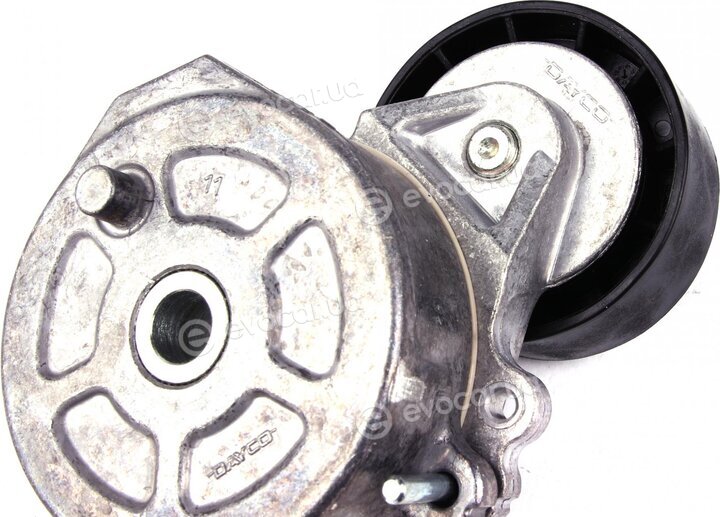 Hutchinson T0447