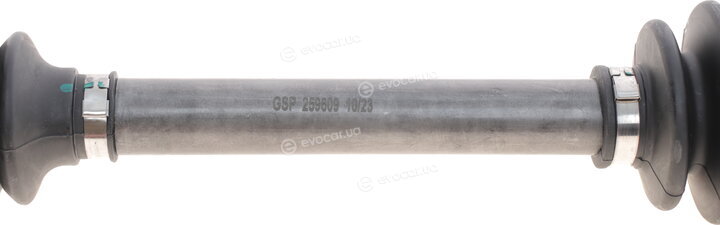 GSP 259609