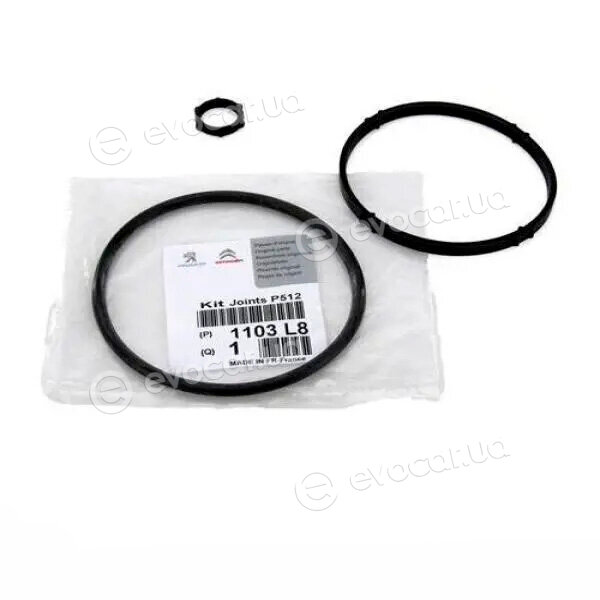 Mopar (PSA / FCA) 1103L8
