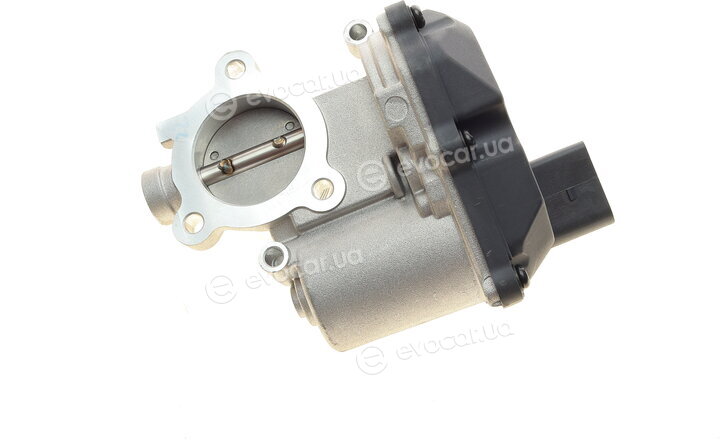 NRF 48605