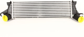 Kale 345095