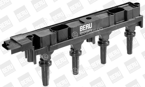 Beru ZS351