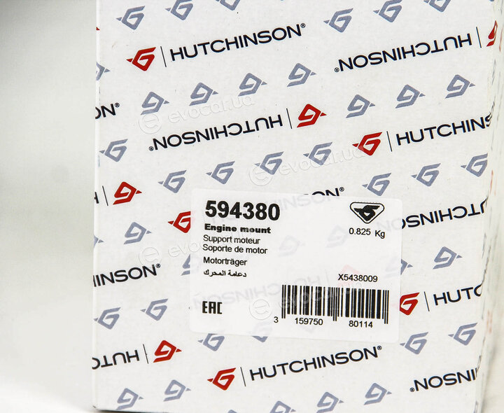 Hutchinson 594380