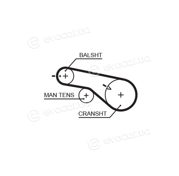 Gates K025556XS