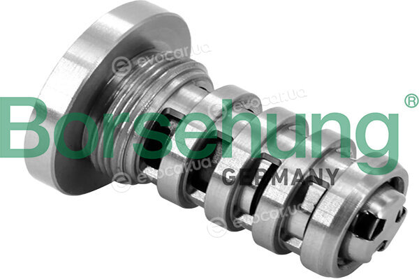 Borsehung B12694