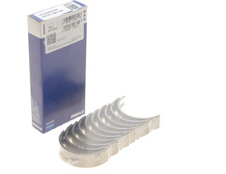 Mahle 029 HS 18067 025