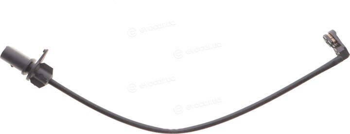 Solgy 402019