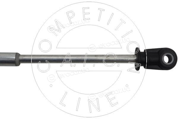 AIC 58998