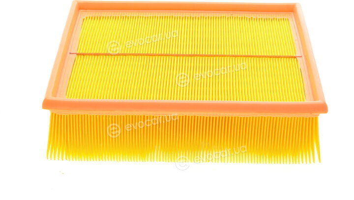 Borsehung B10545