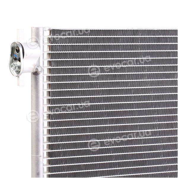 Ridex 448C0302
