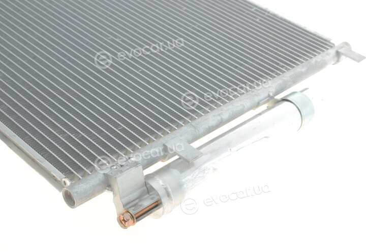 Solgy 309002