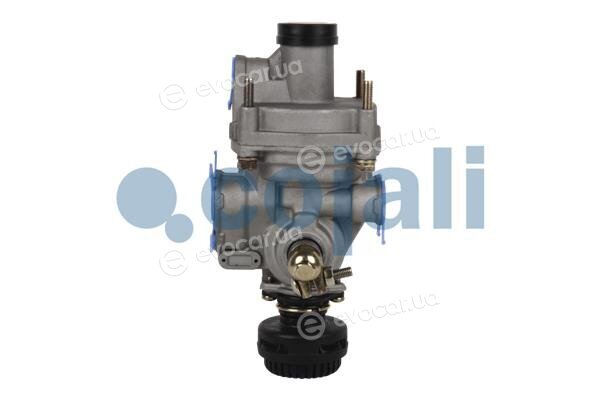 Cojali 2220349