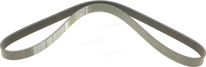 Dayco 6PK1115