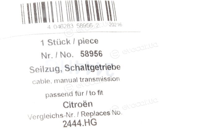 AIC 58956