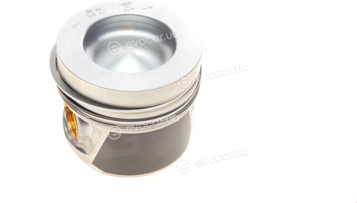 Mahle 028 PI 00116 000