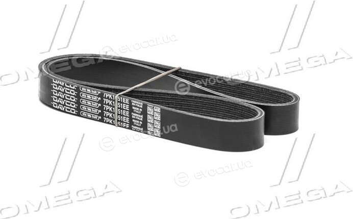 Dayco 7PK1051EE