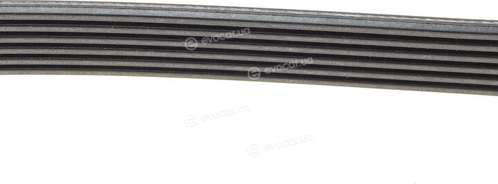 Hutchinson 1061 SK 6