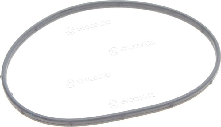 Hepu P1573