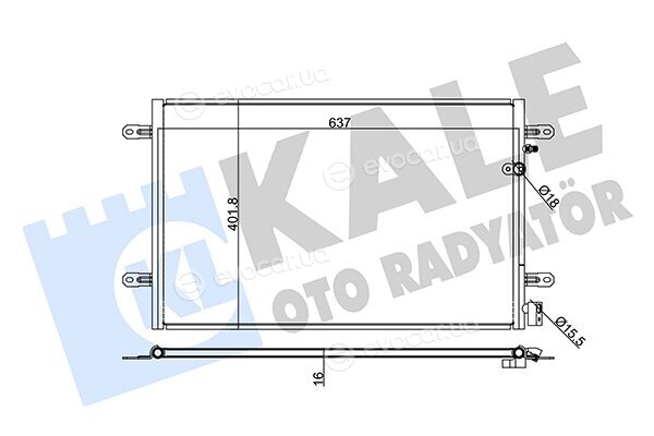 Kale 375300