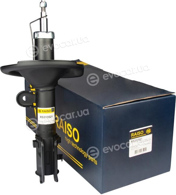 Raiso RS313521
