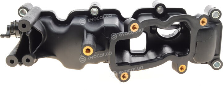 AIC 54438