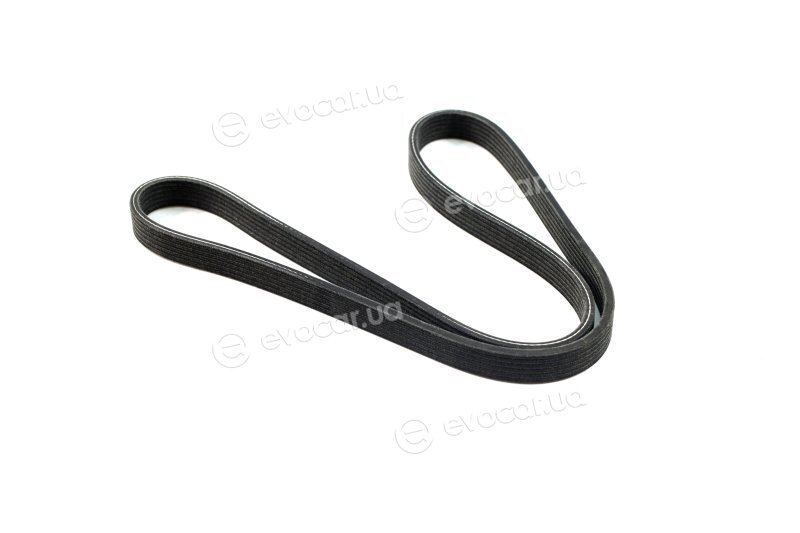 Dayco 6DPK1215