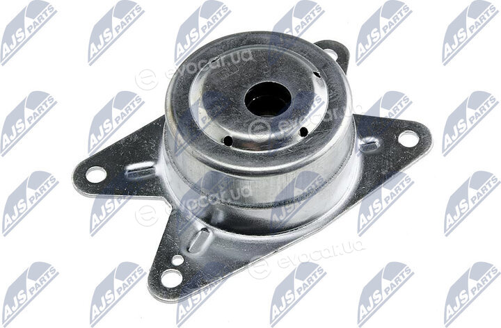 NTY ZPS-PL-009