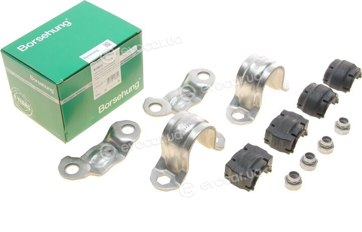 Borsehung B10810