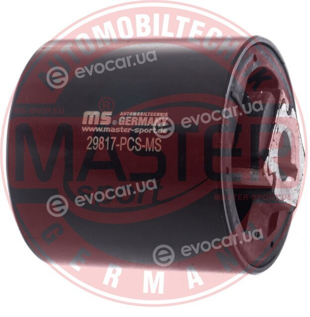 Master Sport 29817-PCS-MS