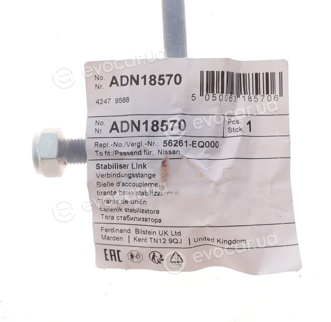 Blue Print ADN18570