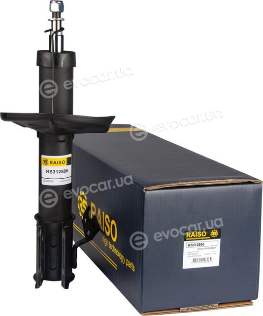 Raiso RS312806