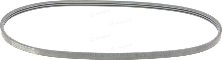 Continental 3PK817 ELAST