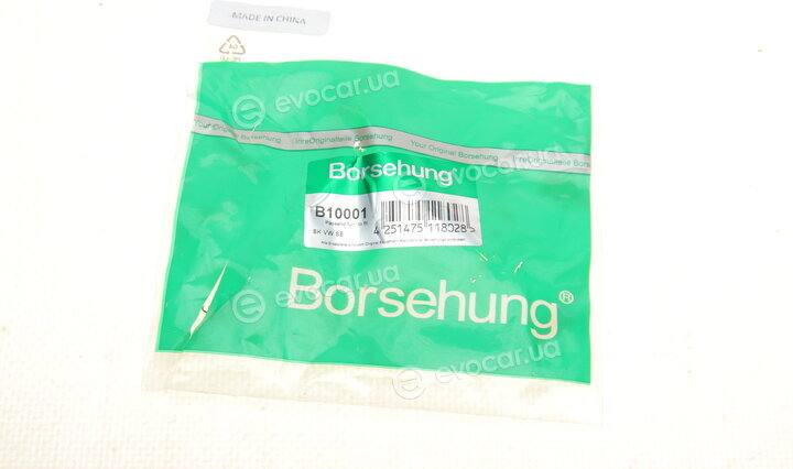 Borsehung B10001