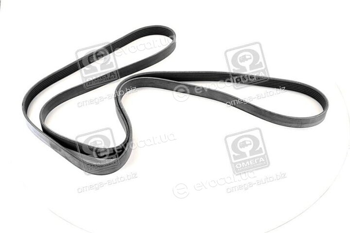 SKF VKMV 6PK2270