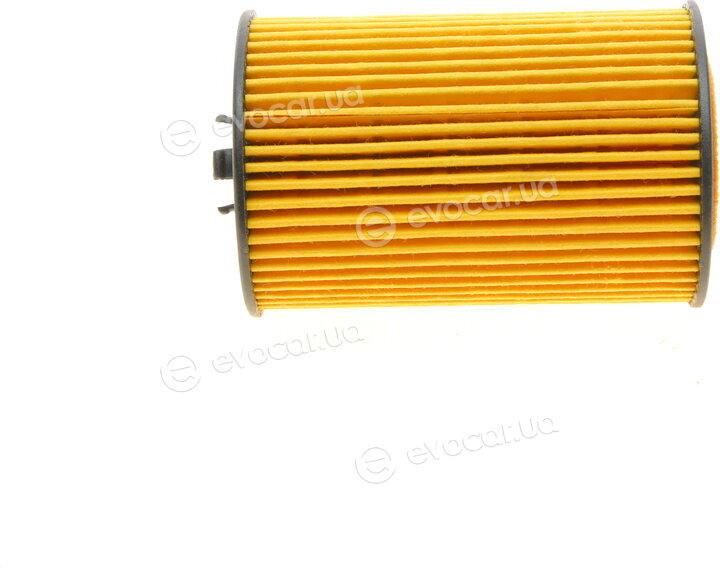Borsehung B10532