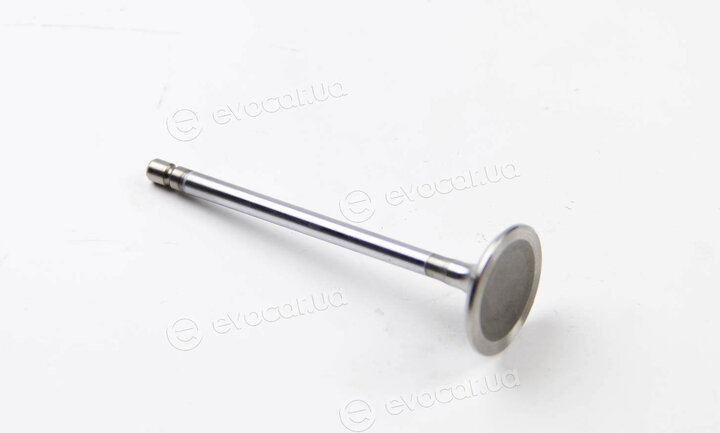 BGA V165930
