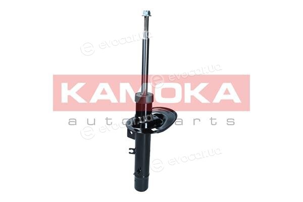 Kamoka 2001232