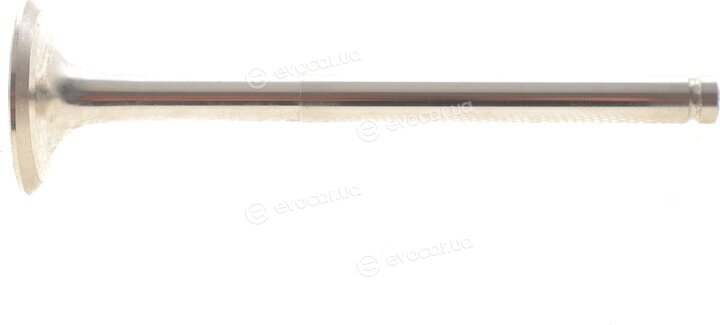 AMP PREN014-A-0-D